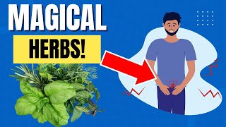 Magic Herbs to Cure Enlarged Prostate | Prostate Enlargement Treatment