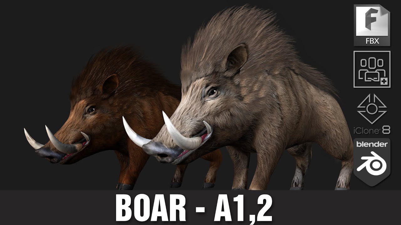 Wildschwein-A2 3D Modell