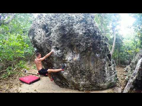 Witness The Fitness V6