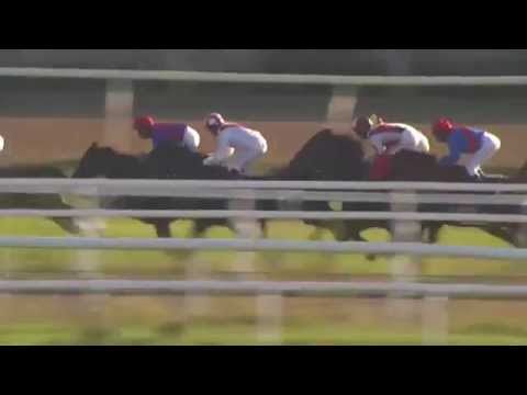 2014.09.13 Stockholm Cup International - Bank of Burden