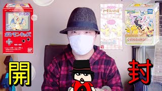 ピカブイやりたいのにSwitch持ってないからせめておもちゃ買ってきた
