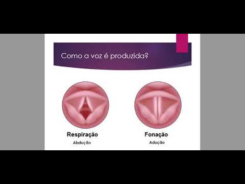 AULA 1 - VOZ 1 - Como a voz é produzida, bons e maus hábitos vocais