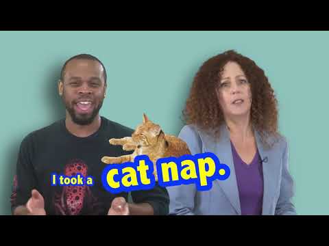 分で英語。猫のお昼寝 (English in a Minute: Cat Nap)