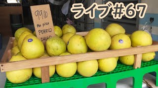 ※最初数分、音無しです！）ちょっと早めに「今週はいかがでしたか」　ライブ＃６７