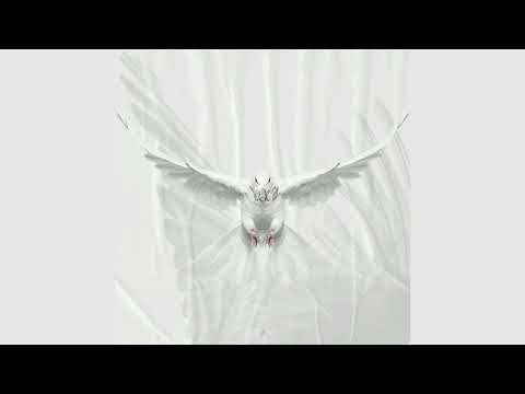 Hiphopologist ft Neesh - Parvaz