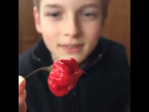 13 year old eats Carolina Reaper Chilli