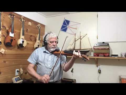 Violin, fiddle,  4/4  pochette style electric Bild 7