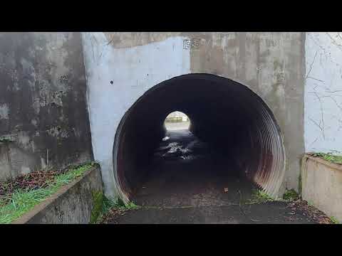 Day Trip Yachats, Oregon