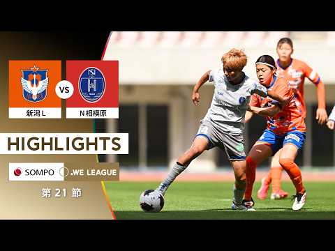 bg-highlight