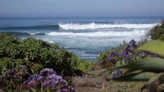 Zero Waste as a Business Decision