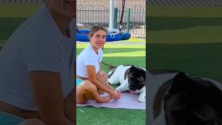 POV - You Try to Relax… But Your Dog Interrupts Everything 😅 #shorts #dogshorts #funnydogs #workout