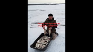 Рыбалка в щучинск казахстан на месяц