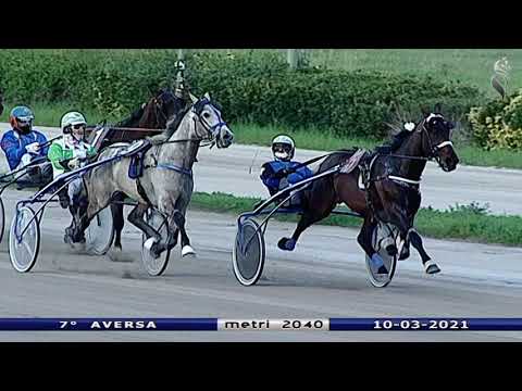 Aversa trotto 10 Marzo 2021 - 7° Corsa
