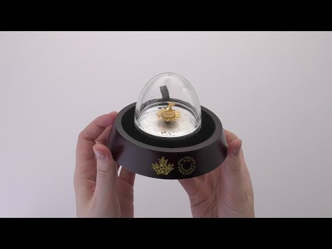 Stříbrná mince The Goldfinch and the Bloom 5 oz proof 2025