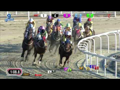 Final Boss - Seoul Racecourse - Jan 15, 2017