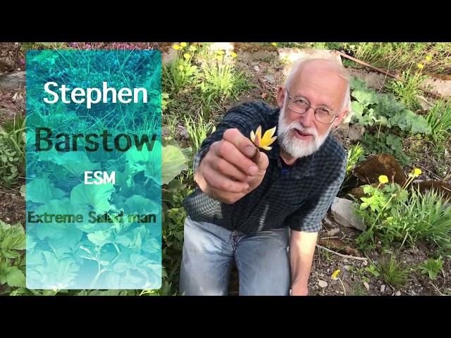 Видео Произношение allium schoenoprasum в Английский
