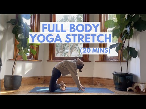 20 MIN FULL BODY YOGA STRETCH | All Levels Relaxing Flow