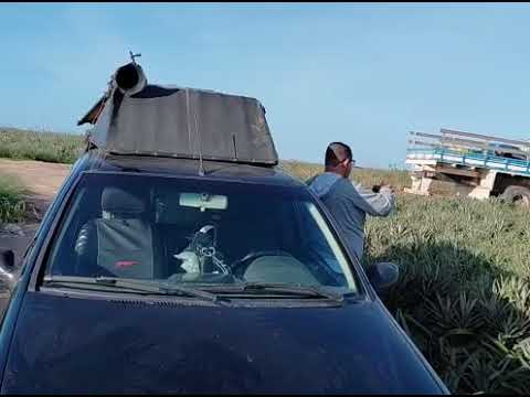 EU E MEU CARREGANDO O CARRO DE ABACAXI DE MARATAIZES ESPÍRITO SANTO 