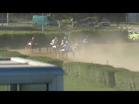 Trka "Dunav" 07.07.2021 Picolo Party - Vladimir Pribić