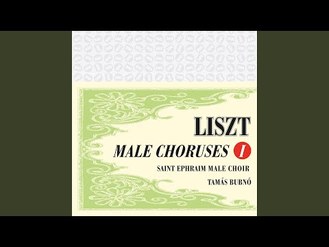 Licht! Mehr Licht!, S. 84