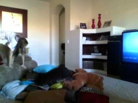 Jbabyy & lieceyyyyyy