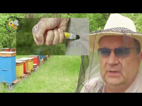 Ćwiczenia jogi do zwiększenia potencji Propolis zwiększona siła