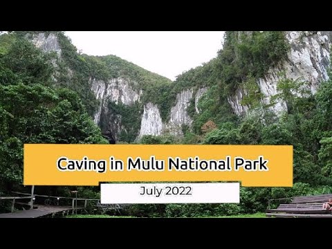 Visiting Mulu Again / Caving in Mulu / Mulu National Park / Mulu Tour / Benarat Lodge