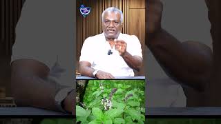 Download lagu 21 நாள் துளசி தண்ணீர் குடிச்சி பாருங்க !! என்ன நடக்குதுன்னு சொல்லுங்க !! mp3 Download lagu 21 நாள் துளசி தண்ணீர் குடிச்சி பாருங்க !! என்ன நடக்குதுன்னு சொல்லுங்க !! mp3