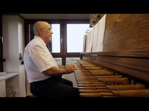 Live carillon concert By Jeffrey Bossin At Berlin Tiergarten 17 08 2014