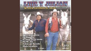 Se Esta Callendo El Jacal