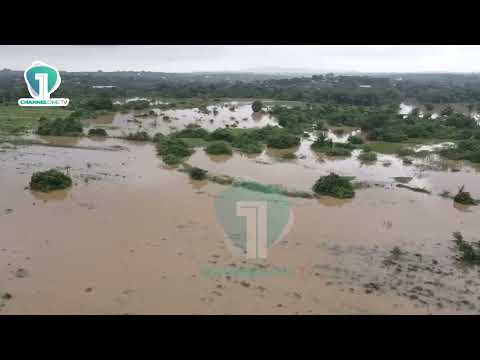 Farmers Count Losses as Floodwaters Destroy Acres of Crops in Effutu