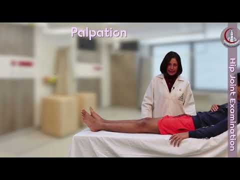 hip joint examination (updated 2022)