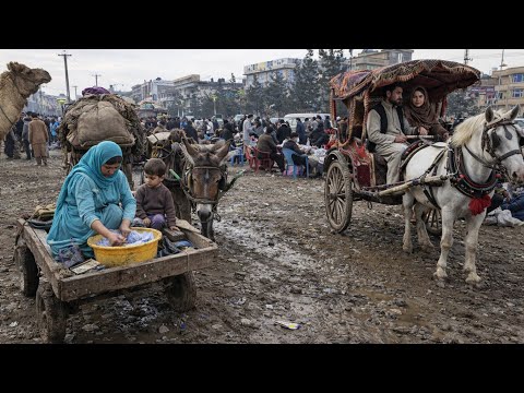 Walking in Kabul, Afghanistan 🇦🇫 | What the Media Never Shows You | 4K  2026