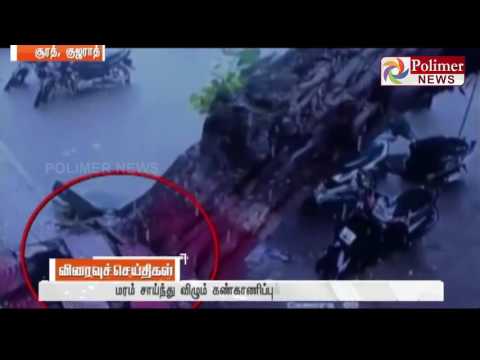 Gujarath : CCTV Footage of Huge Tree falling due to Heavy Rain | Polimer News