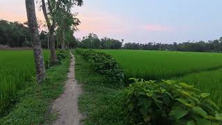 কখনও কখনও নির্জন রাস্তাই সবচেয়ে জোরে কথা বলে। না থাকে মানুষের ভিড়, না থাকে শব্দ ........