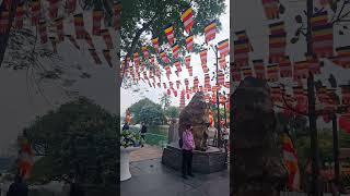 하노이 쩐꾸옥 사원~