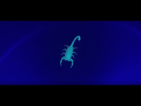Let me show you 2 ways to find Scorpions around your home