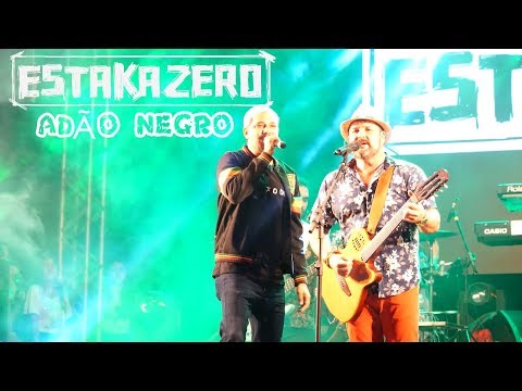 Feed Back - Estakazero