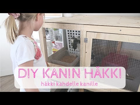 , title : 'DIY kanin häkki | DIY rabbit cage | yllätys tytöille'