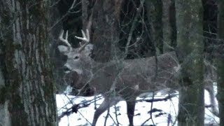 Rifle Buck Season Deer Hunting 2013 Opening Day - John