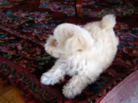 Jeniferalexandra’s Video 12519755320 mvYavSqmnvc