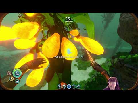 Subnautica Survival Uncut # 12