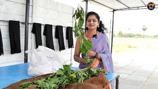 One Day Weaver — Full Experience