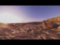 Falkland Islands Sealion Island 360 Video