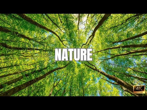 Rozzano and Basiglio in 4K | Nature, Parks and Lakes in the Surroundings of Milan