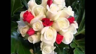 LOS TEMERARIOS. ELLA DICE.ROMANTICO.wmv