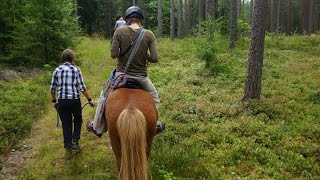 Horse Riding, Boating Adventure & Drinking Salmiakki | Finland Vlog Day 4