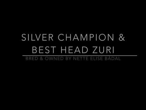 Silver Champion & Best Head  Zuri