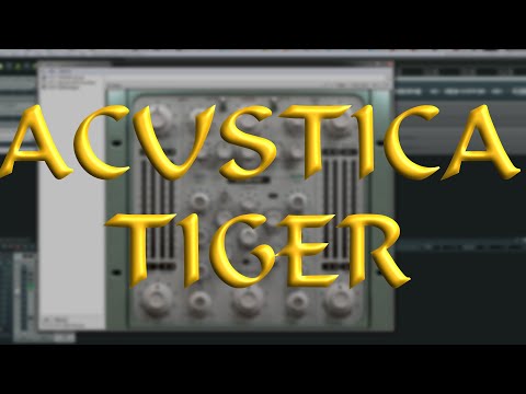 Fast Acustica Tiger Demonstration Drums Vocals Bass