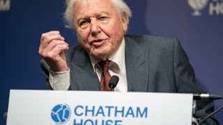 Chatham House Centenary Lifetime Award